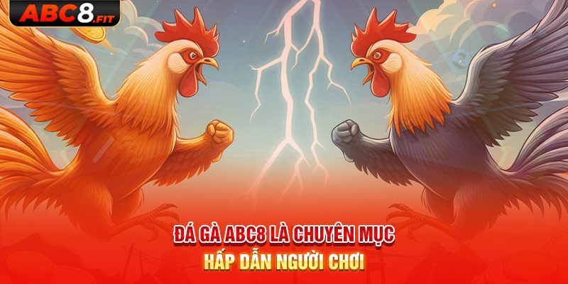 Đá gà ABC8 là chuyên mục hấp dẫn người chơi