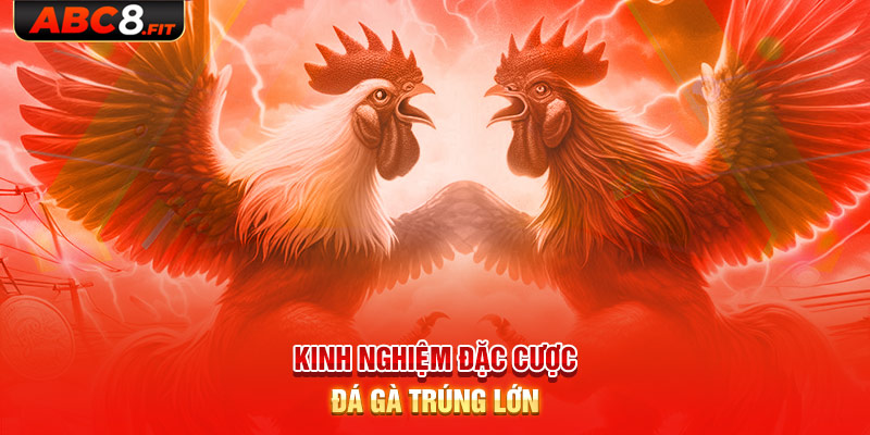 Kinh nghiệm đặt cược đá gà trúng lớn