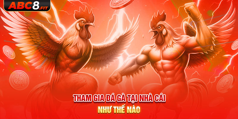 Tham gia đá gà tại nhà cái như thế nào?